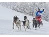 Medzinárodné majstrovstvá Slovenska v psích záprahoch 31.1.2015 -1.2.2015