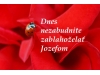 Nech žijú Jozefovia!